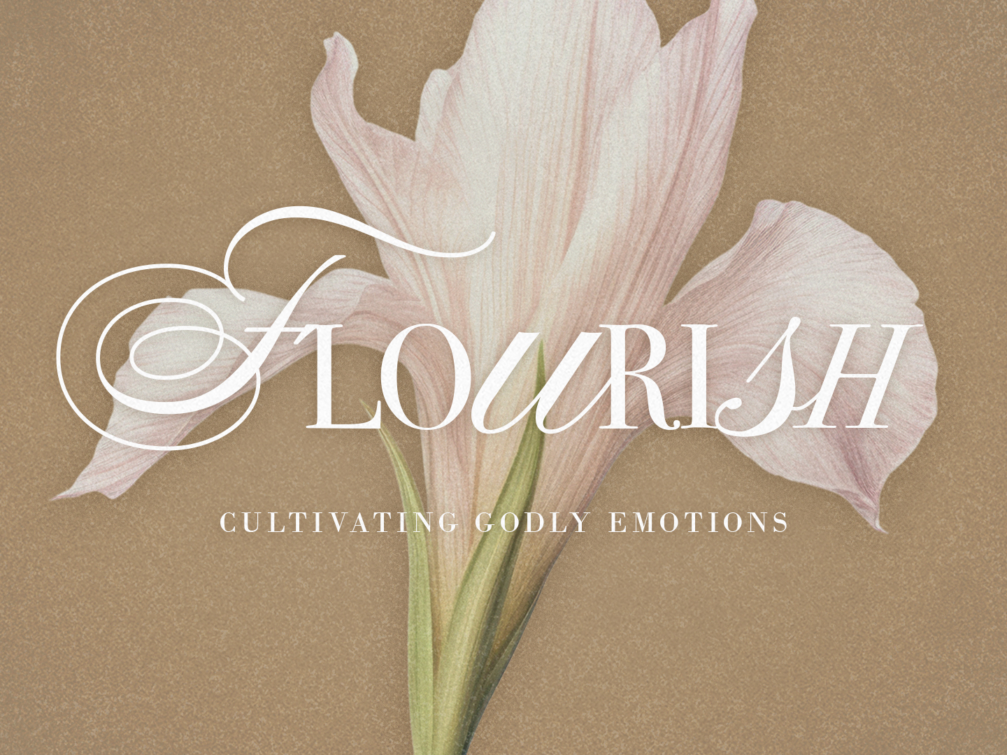 Flourish
